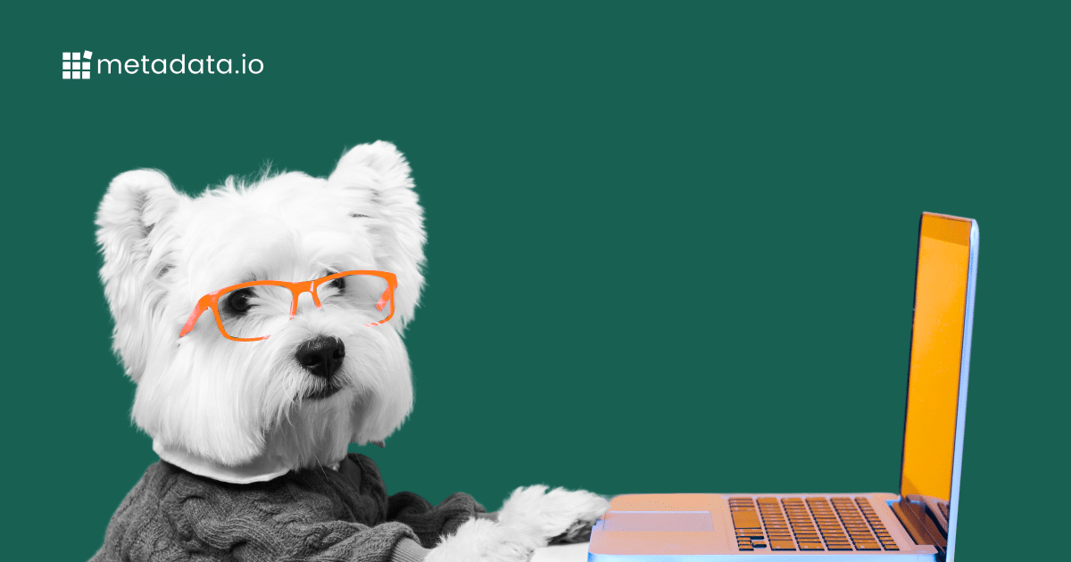 A white dog wearing orange glasses and a sweater, sitting at a laptop, with the metadata.io logo on a green background.